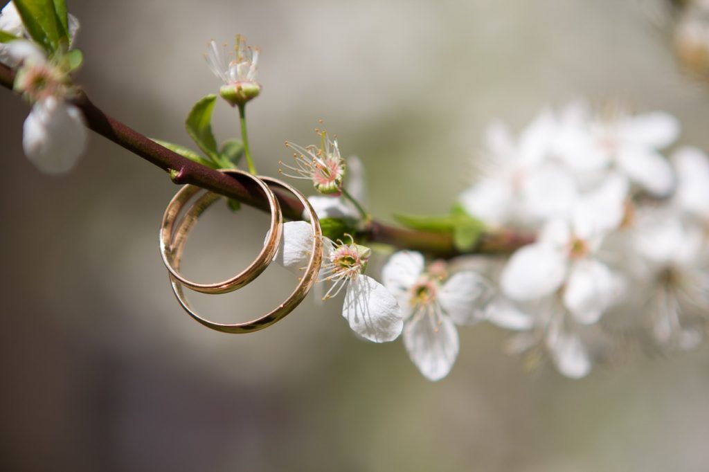 Wedding Rings and Flowers